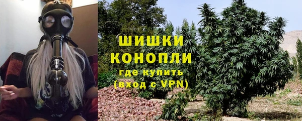 spice Пересвет