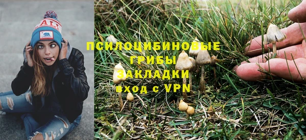 гашик Армянск