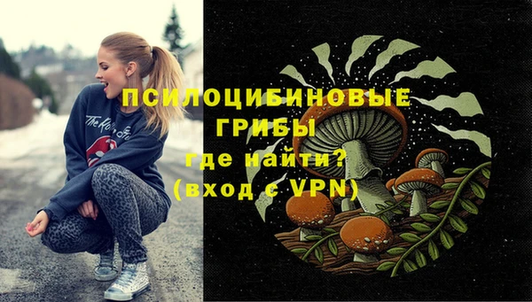 mdpv Пестово